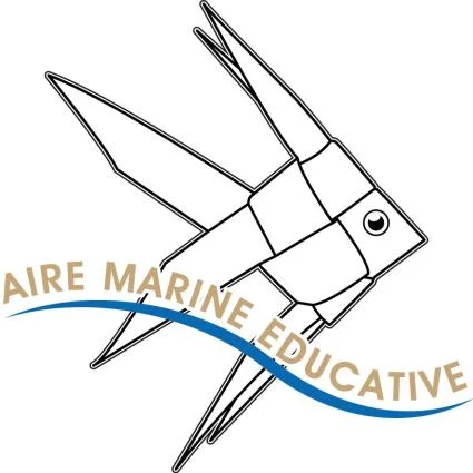 Aire Marine Éducative